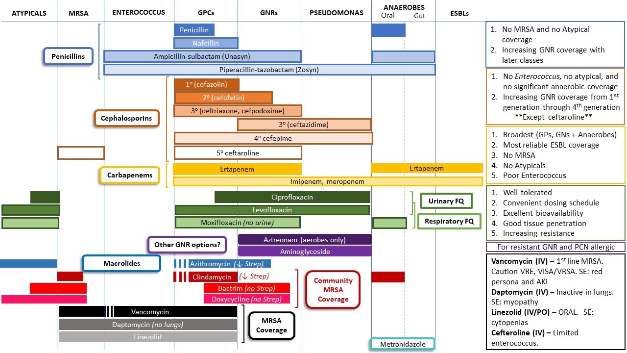 Antibiotic Spectrum