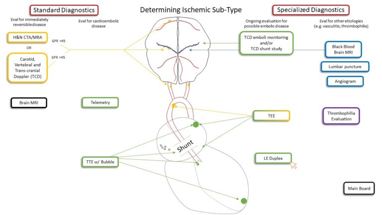 Neurology Archives - teachIM