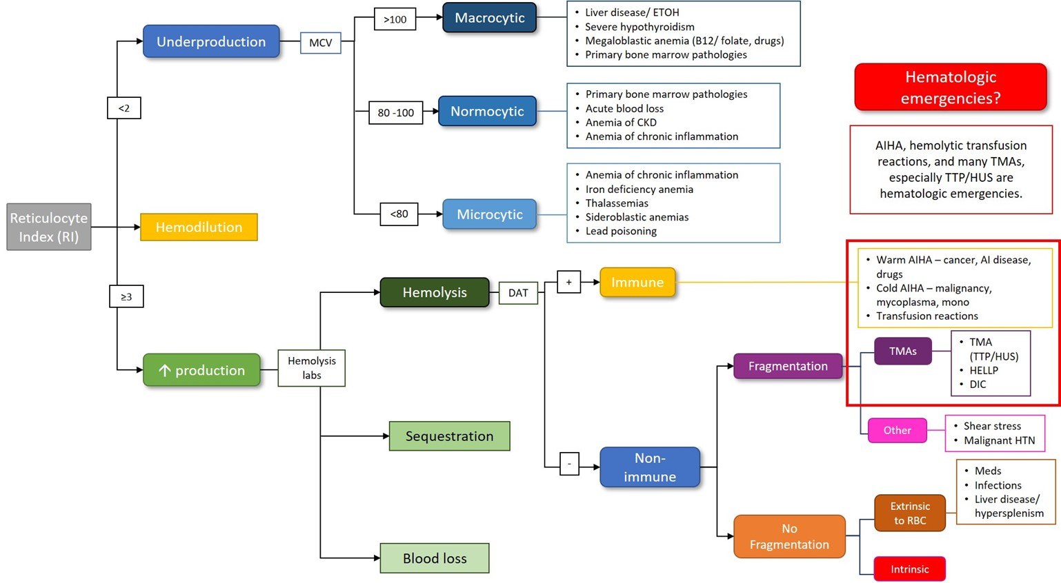 Work Up Of Anemia Teachim