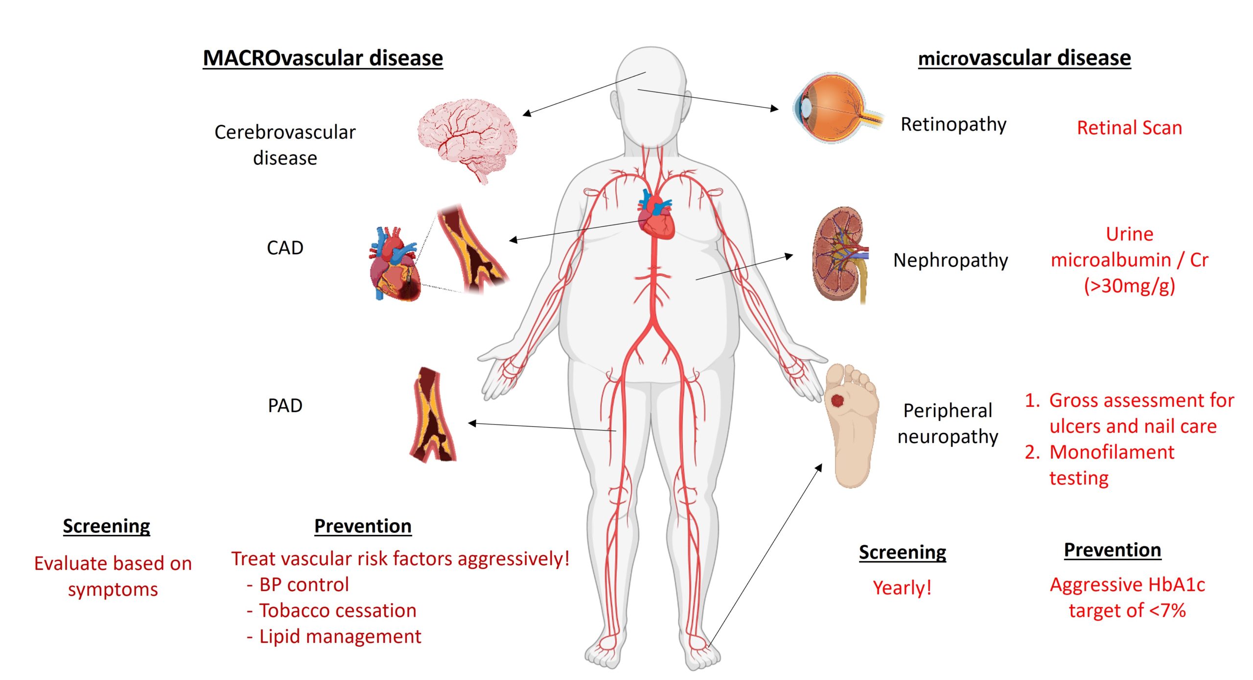 Outpatient Management of Type II Diabetes Mellitus   teachIM