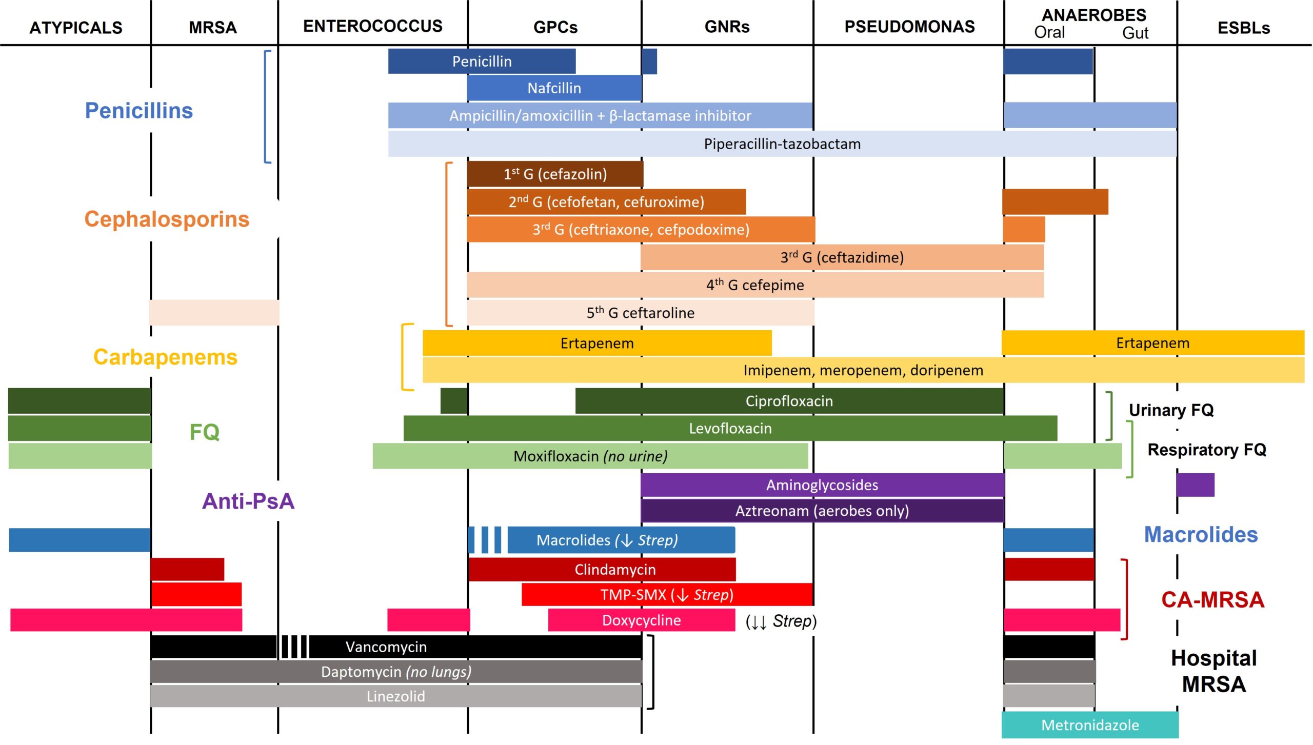 deget In esenta Înnebuni antibiotics spectrum table cerere Chiţăit O ...