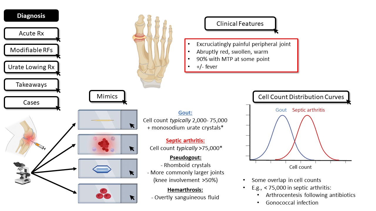 Management of Gout teachIM